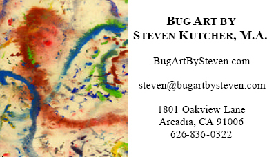 Bug Art by Steven Business Card