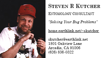 Steven Kutcher, Entomology Consultant, Business Card
