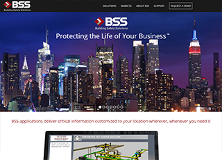 BSSNet.com Home Page screenshot