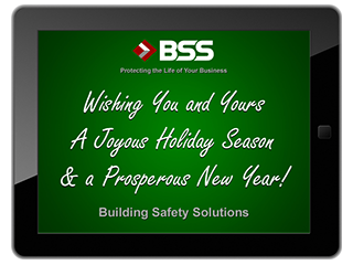 BSS 2014 Holiday E-Card